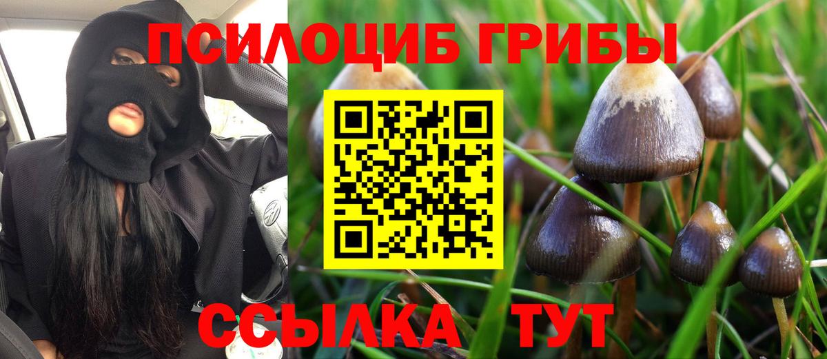 Уфа  Галлюциногенные грибы GOLDEN TEACHER  Вход с VPN  Псилоцибиновые грибы Cubensis 