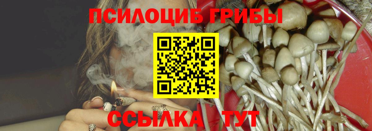 Галлюциногенные грибы Psilocybine cubensis Уфа